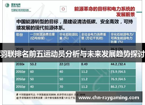 羽联排名前五运动员分析与未来发展趋势探讨 羽联排名前五运动员分析与未来发展趋势探讨