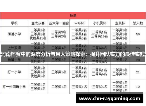 河南杯赛中的深度分析与用人策略探索：提升团队实力的最佳实践