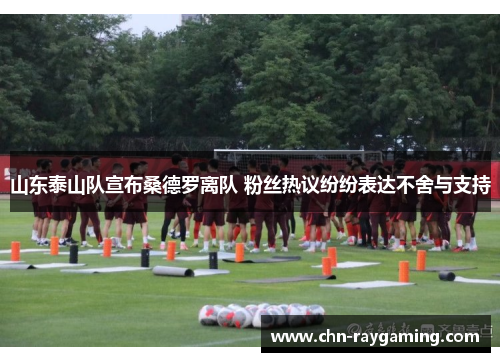 山东泰山队宣布桑德罗离队 粉丝热议纷纷表达不舍与支持 山东泰山队宣布桑德罗离队 粉丝热议纷纷表达不舍与支持