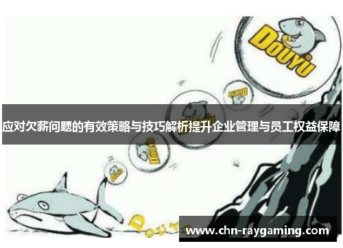 应对欠薪问题的有效策略与技巧解析提升企业管理与员工权益保障