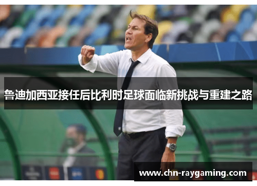 鲁迪加西亚接任后比利时足球面临新挑战与重建之路 鲁迪加西亚接任后比利时足球面临新挑战与重建之路